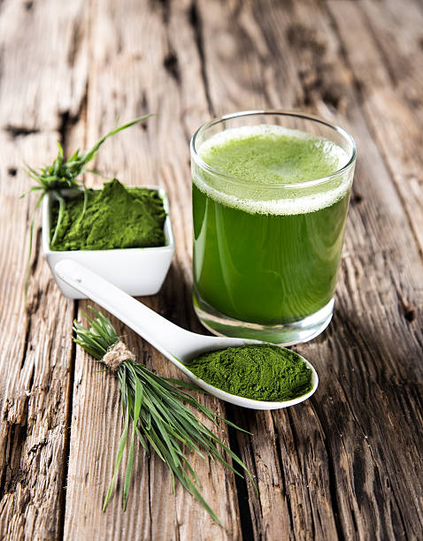 istock detox. young barley, chlorella superfood. 516509981