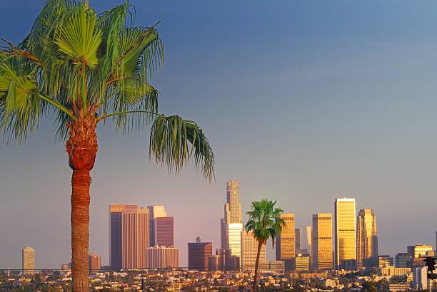 istock Downtown Los Angeles with palm trees 516511839