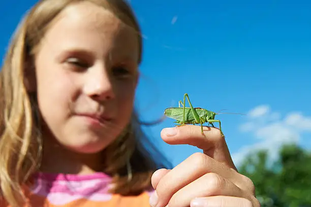 Photo of Girl with a grasshopper on a hand