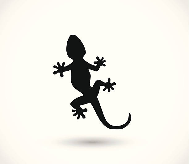 ilustraciones, imágenes clip art, dibujos animados e iconos de stock de lagarto icono vector - salamandra