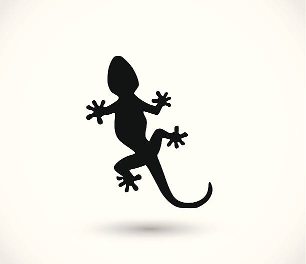 Lizard icon vector Lizard icon vector salamander stock illustrations