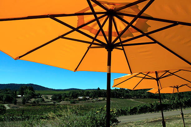 istock Sun Umbrellas Over The Vineyards 516533577