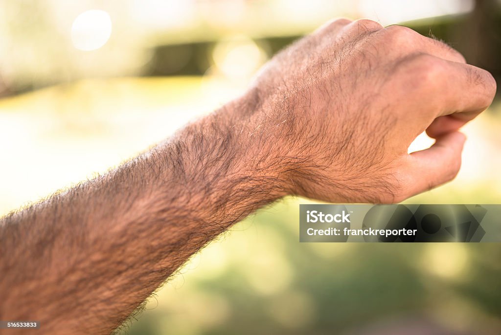 arm fist Adult Stock Photo
