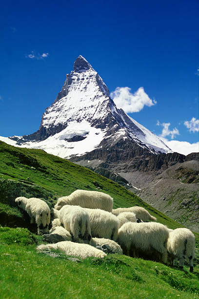 istock The famous Matterhorn mountain 516541618