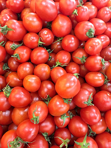 istock Pile of Tomatoes 516542264