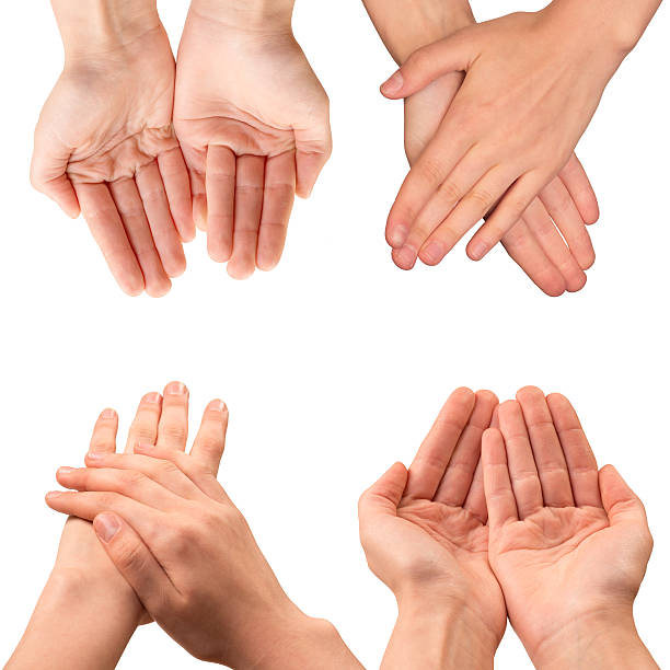 istock Set of woman hands 516542614