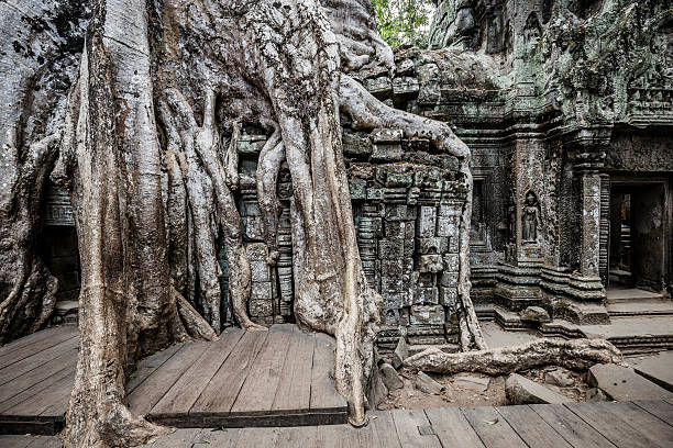 istock Ta Prohm temple complex Angkor ruins Cambodia 516545856