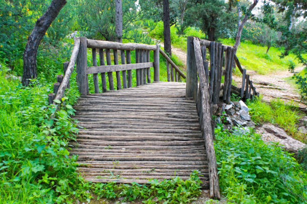 istock Bridge in the middle of green field 516546174