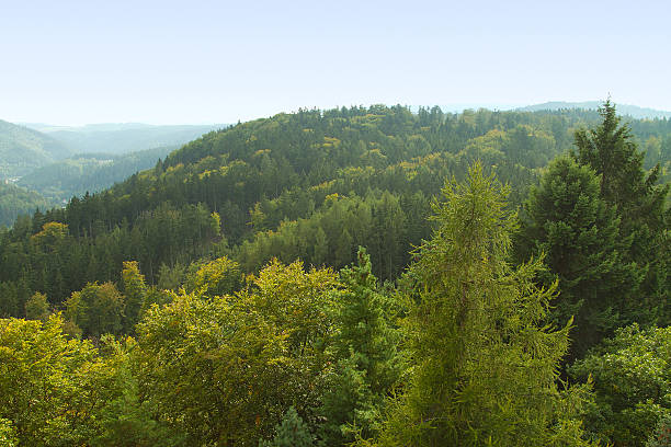istock autumn in the park. 516546531