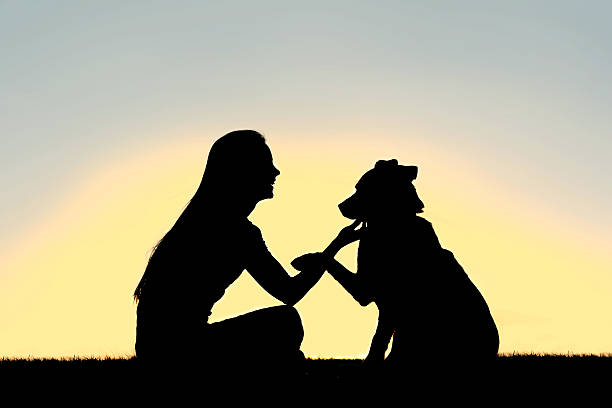 istock Woman and Dog Shaking Hands Sunset Silhouette 516548187