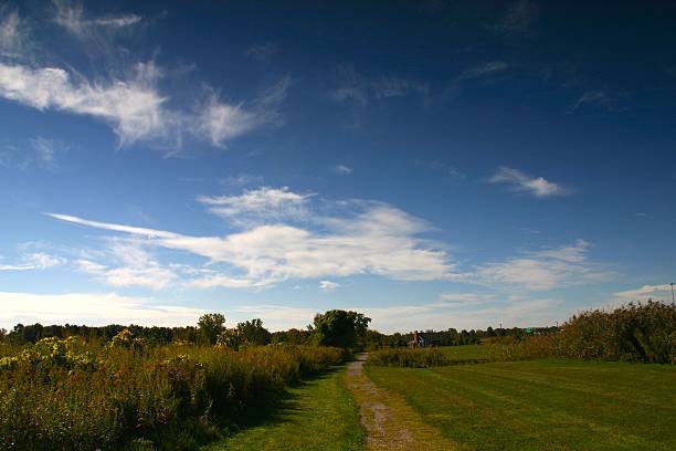 istock Path in a park in Autumn 516549753