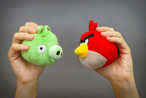 Tambov, Russian Federation - March 03, 2016: Red Angry Bird and Bad Piggy soft toys in person hands on gray background. Studio shot.