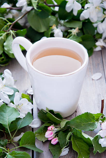 taza de té verde y flores - green tea cherry blossom china cup fotografías e imágenes de stock