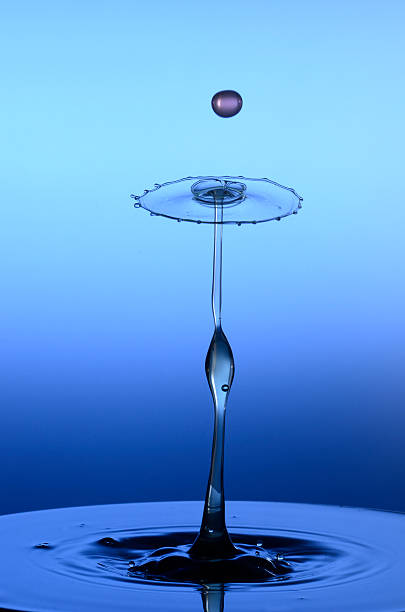 eau droplet-tailles fleur comme tige - water surface emotional stress shape nature photos et images de collection