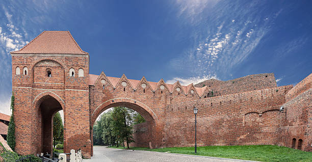 istock Bailey in old town of Torun, Poland. 516588201