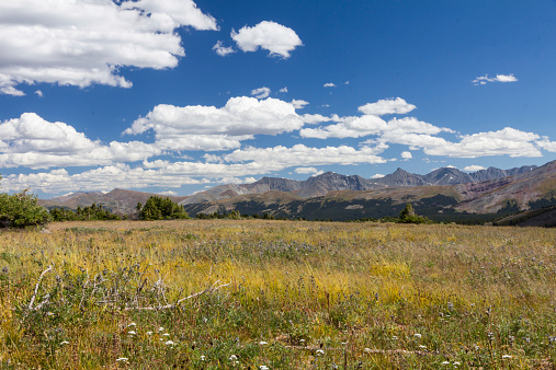 Colorado's Tenmile Range, cloudscape and blurred grasses on a very windy day in the alpine meadows of Shrine Mountain - an easy and spectacular day hike in the Rockies near Vail