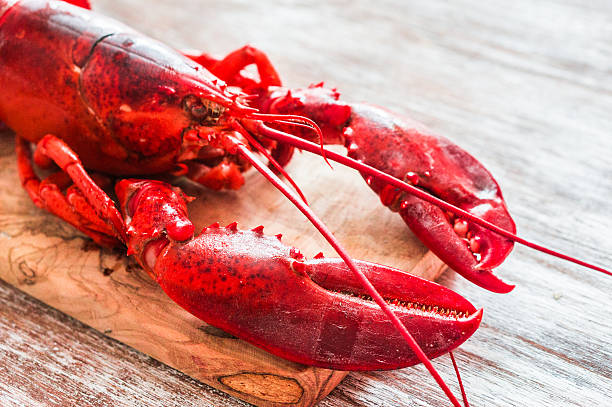istock Cooked lobster on wooden background 516589557