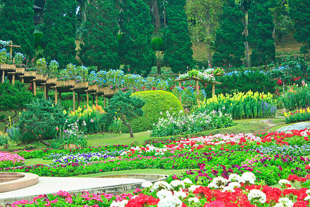 Beautiful Garden In Spring Stock Photo - Download Image Now