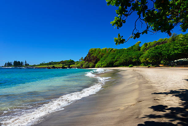 istock Hamoa Beach, Hana, Maui, Hawaii 516589919