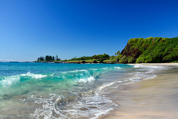 hamoa beach, hana, maui, hawaï - hana photos et images de collection