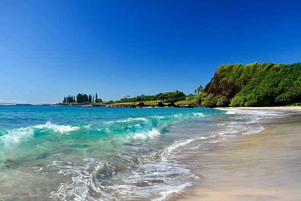 hana hamoa бич, мауи, гавайи - hana maui sea scenics стоковые фото и изображения