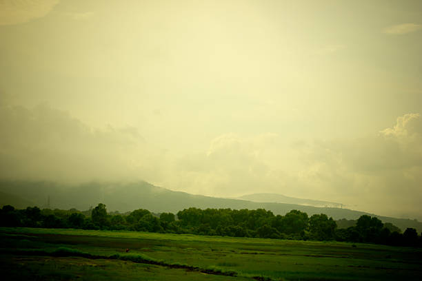 Beautiful Nature Mountains fog