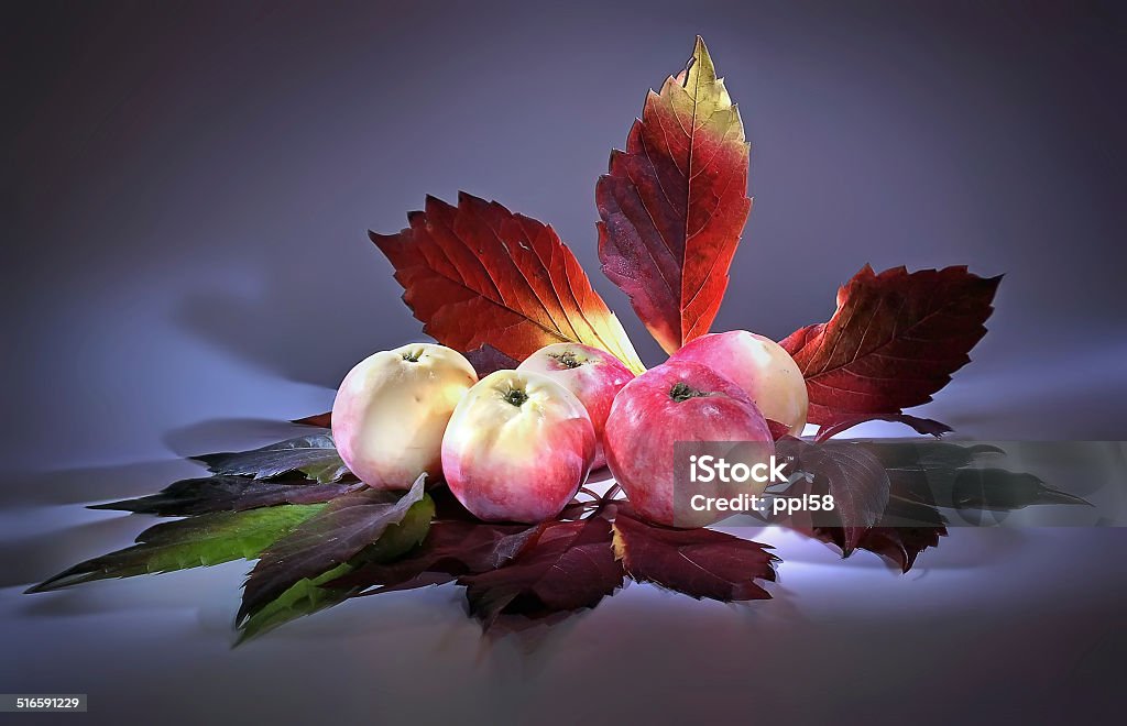 Light brush. Apples and leaves of vine Ripe apples and leaves of vine. It is taken off through a light brush Beautiful People Stock Photo