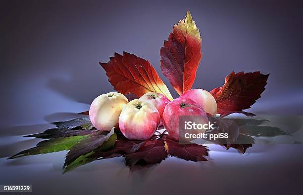 Light Brush Apples And Leaves Of Vine Stock Photo - Download Image Now - Beautiful People, Beauty, Beauty In Nature