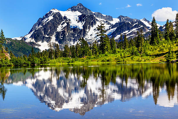 Picture Lake Evergreens Mount Shuksan Washington USA Picture Lake Evergreens Mount Shuksan Mount Baker Highway Snow Mountain Trees Washington Pacific Northwest USA picture lake stock pictures, royalty-free photos & images