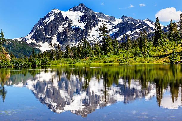 lago picture evergreens monte shuksan washington, eua - picture lake - fotografias e filmes do acervo