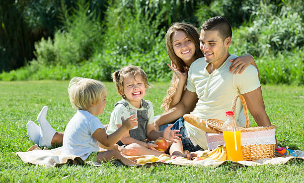 istock Family of four having picnic 516592583