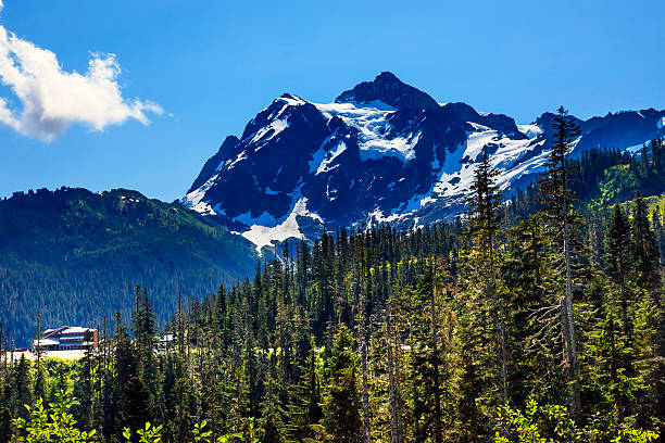 istock Mount Shuksan Evergreens Mount Baker Ski Area Washington 516592745