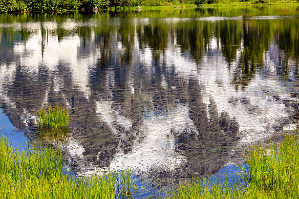 lago picture abstract monte shuksan washington, estados unidos - lago picture fotografías e imágenes de stock