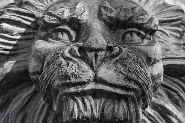 istock Petrified king of animals 516594702