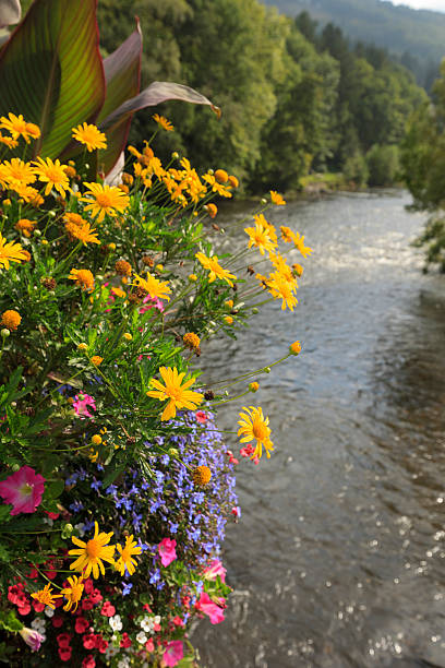 istock Ambleve river at Coo in the Belgian Ardennes 516600406