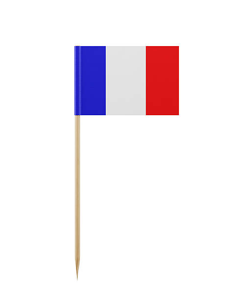 istock Tiny French Flag on a Toothpick 516600884