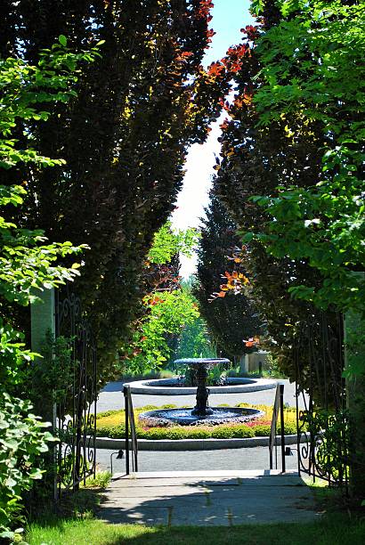 istock View of the Fountain 516601112