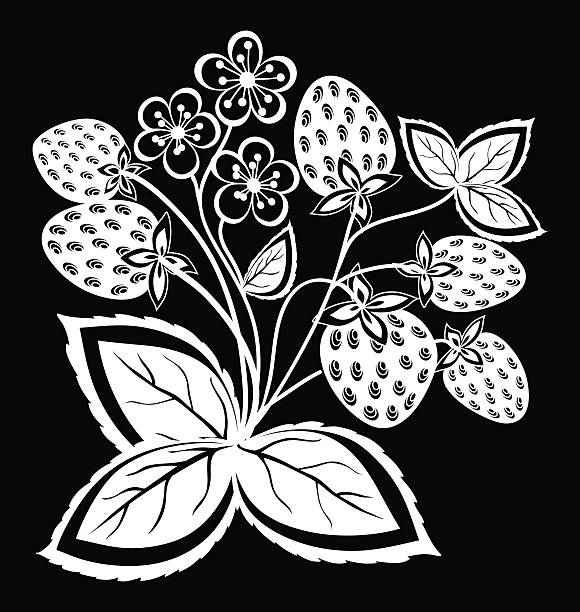 черно-белый клубнику, цветок и листья и завитки изолированные. - strawberry vine pattern plant stock illustrations