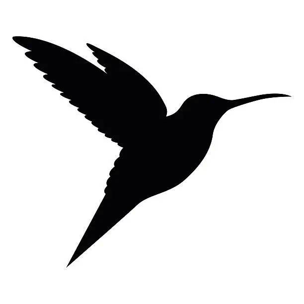 Vector illustration of Humming bird bird flying in open air - VECTOR