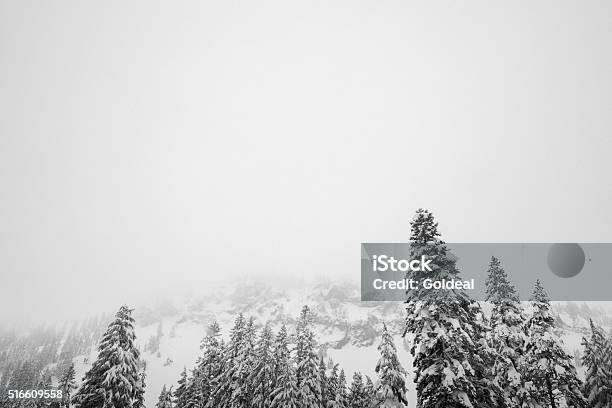 Snowing In Winter Wonderland Stock Photo - Download Image Now - Cold Temperature, Day, Directly Below