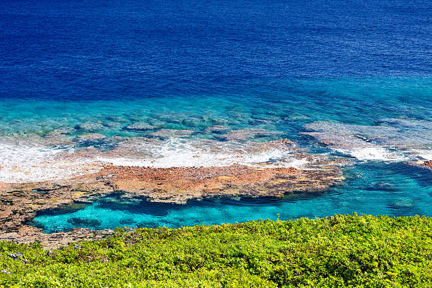 istock Reef flats and snorkeling pool 516615395