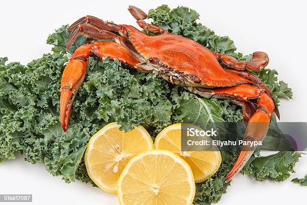 Steamed Blue Crab On A White Background Stock Photo - Download Image Now - Animal Shell, Aquatic Organism, Backgrounds