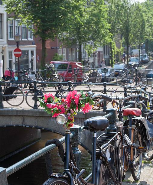 istock flowers in Amsterdam 516617339