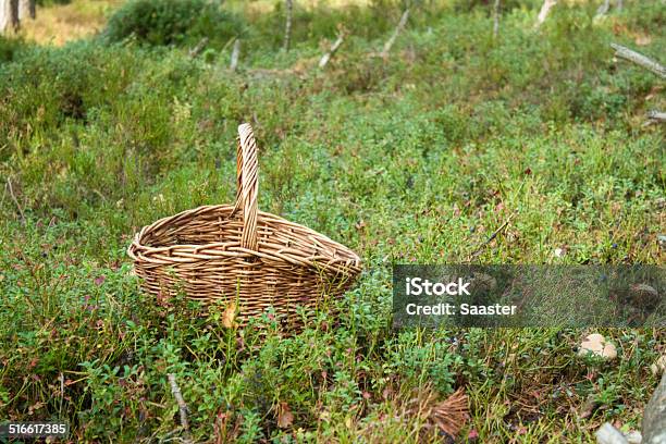 Mushrooming Stock Photo - Download Image Now - Autumn, Backgrounds, Basket