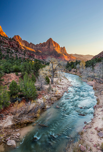 Beautiful iconic scene of The watchman at sunset, Zion National Park, Utah.