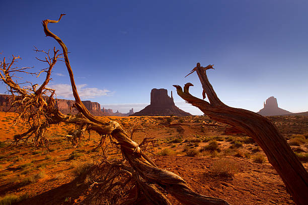 istock Monument West Mitten Butte in morning Utah 516619675