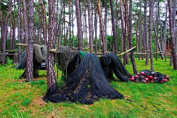 istock Fishing nets on wooden stilts in forest 516619949