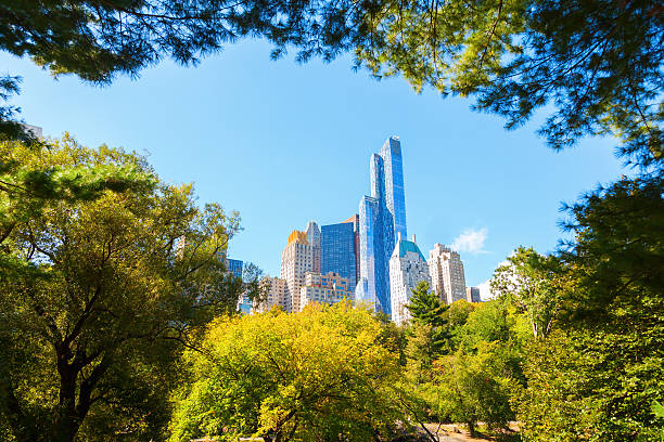 istock scene of Central Park, NYC 516620976