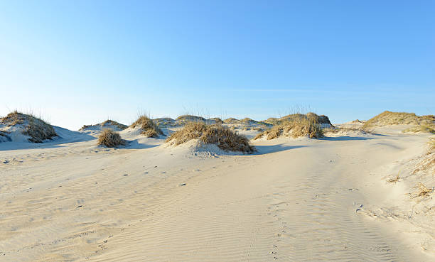 istock Sand Dunes Along Beaches of North Carolina 516621348