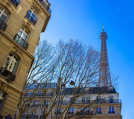 Low angle view of Eiffel tower between houses,trees. There is a french flag in image. Horizontal composition. Image taken in street between houses and trees, focus on Eiffel tower.